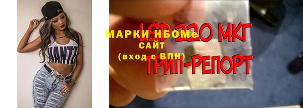 трава Белокуриха
