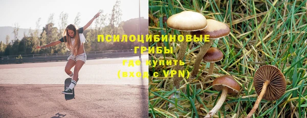 индика Белоозёрский