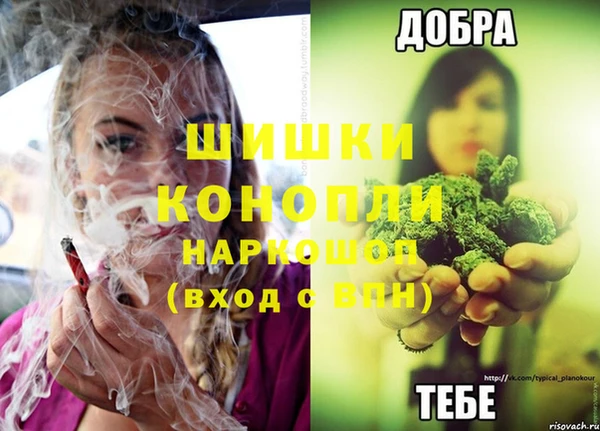 трава Белокуриха