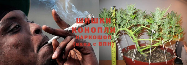 трава Белокуриха
