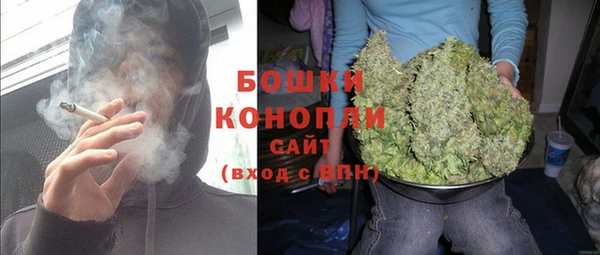 ГАЛЛЮЦИНОГЕННЫЕ ГРИБЫ Сосновка