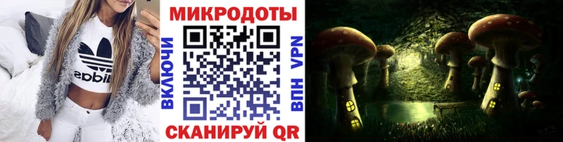 Псилоцибиновые грибы Psilocybine cubensis  мега tor  Короча 