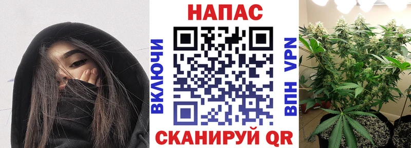 Конопля план  omg зеркало  Короча  купить наркотик 